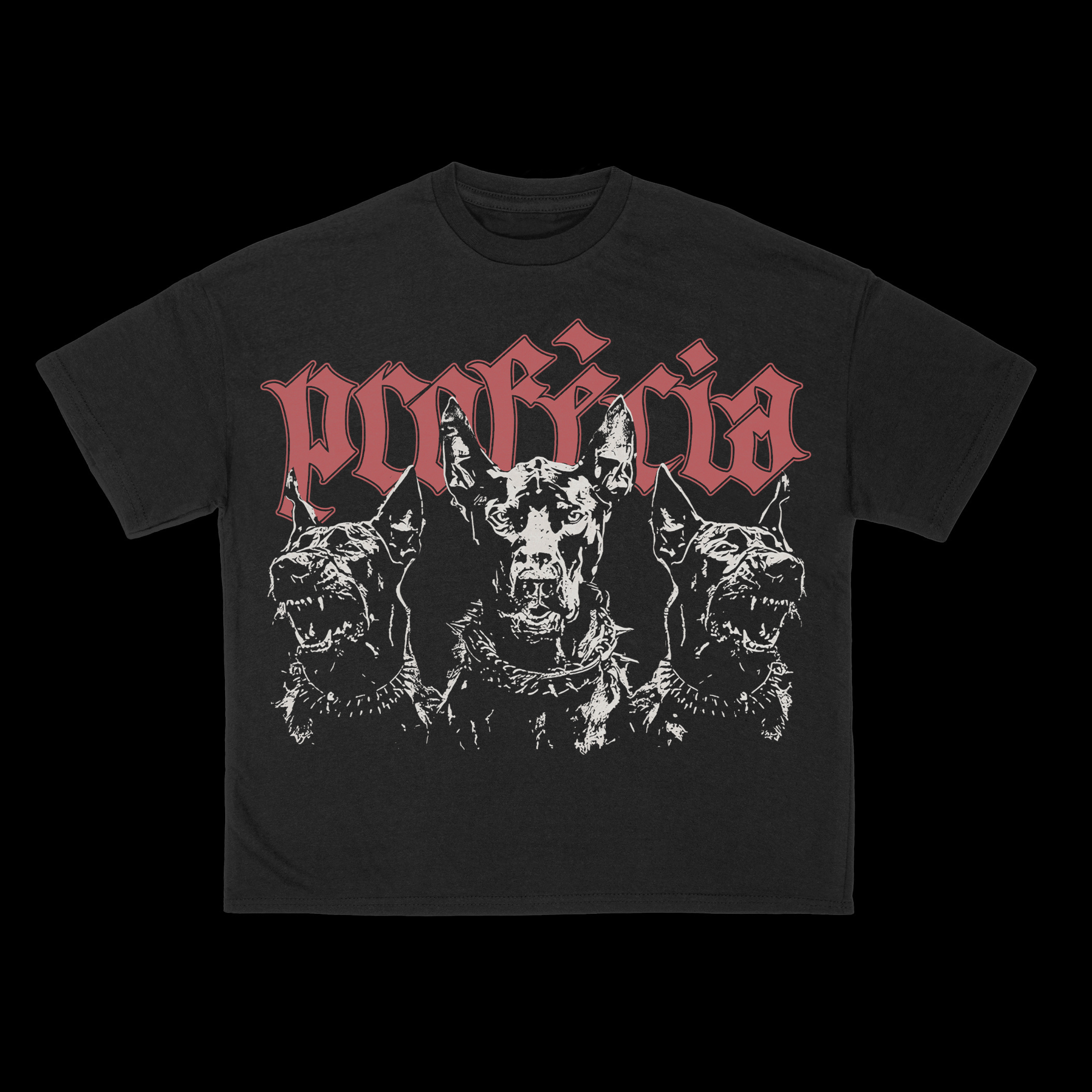Risk IT" T-Shirt